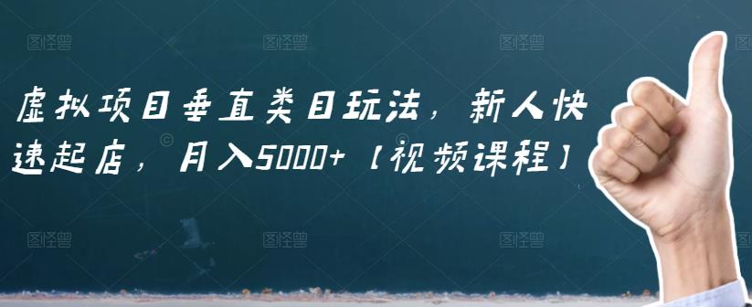 虚拟项目垂直类目玩法，新人快速起店，月入5000 【视频课程】